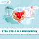Slider image (10) Cmcells, Centro Medico Celular, (Stem Cells Medical Center)